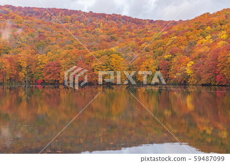 Kakinuma, Towada Hachimantai National Park in autumn 59487099