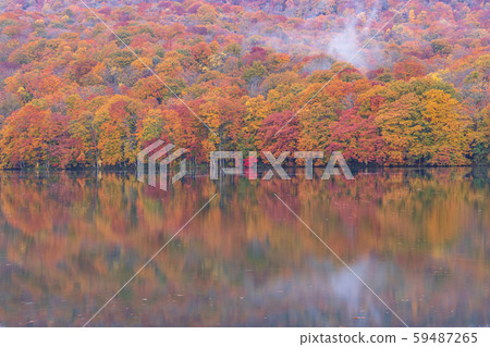 十和田八man平國家公園的Kakinuma在秋天 59487265