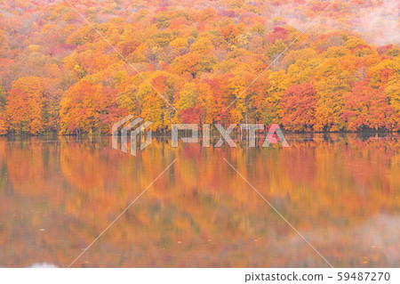 十和田八man平國家公園的Kakinuma在秋天 十和田八man平國家公園的Kakinuma在秋天 59487270
