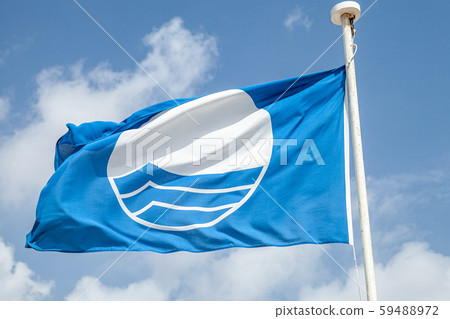 Blue Flag beach. Close-up photo Blue Flag beach. Close-up photo 59488972