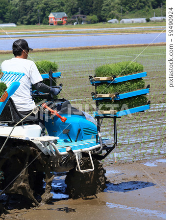 Male image rice planting with rice transplanter Male image rice planting with rice transplanter 59490924
