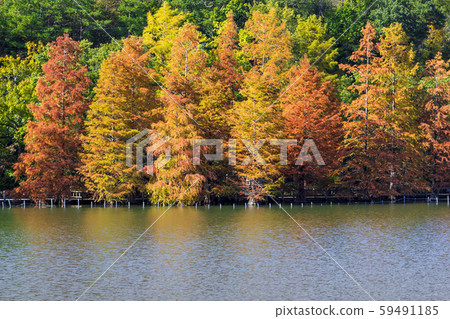 Aichi Prefecture Kasugai City Urban Revegetation Botanical Garden Aichi Prefecture Kasugai City Urban Revegetation Botanical Garden 59491185