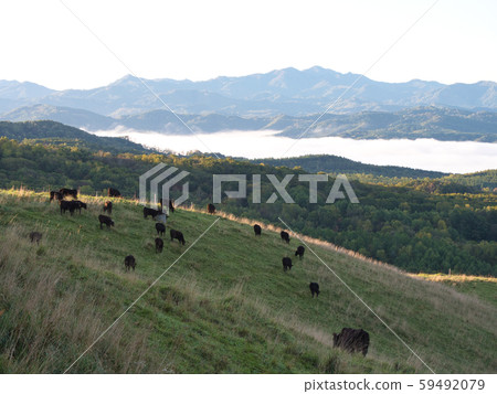 Takikawa City Maruka Kogen Observatory 59492079