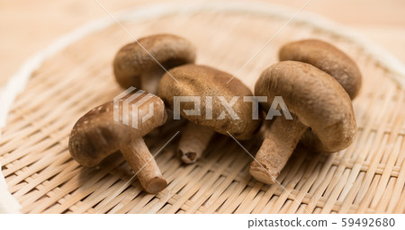 Shiitake mushroom 59492680