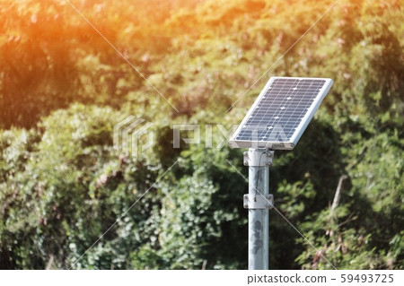 Solar cells 59493725