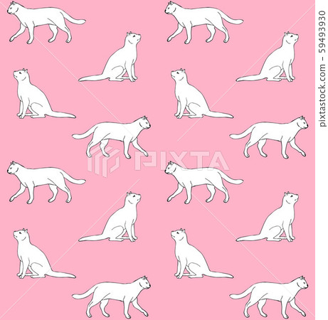 Vector seamless pattern of white hand drawn cats-插圖素材 [59493930] - PIXTA圖庫