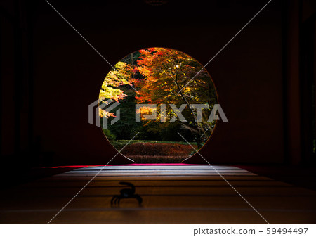 Kamakura Aketsukinin Kamakura Aketsukinin 59494497