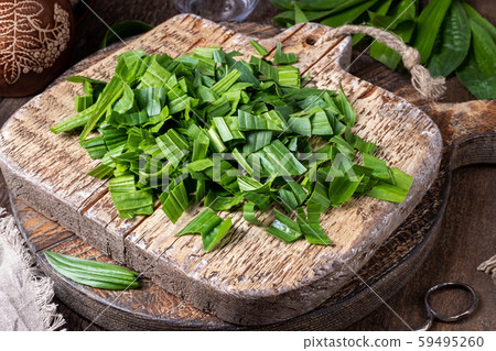 Cut up ribwort plantain leaves on a table Cut up ribwort plantain leaves on a table 59495260