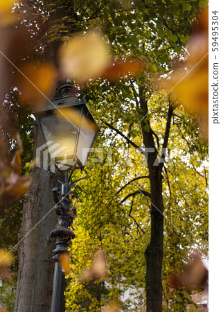 Burning Lamppost with falling leafs in the autumn, colorful golden, orange and yellow colors in a Burning Lamppost with falling leafs in the autumn, colorful golden, orange and yellow colors in a 59495304