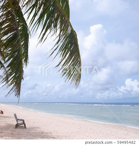Summer holiday palm tree chair holiday Summer holiday palm tree chair holiday 59495482