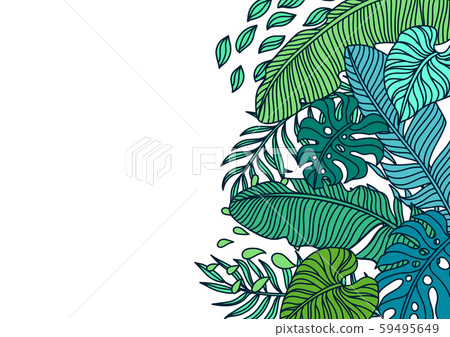 Background with palm leaves. Background with palm leaves. 59495649