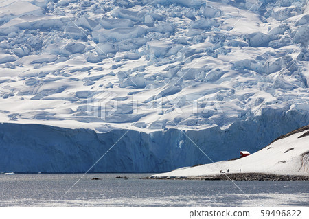 Neko Harbor Glacier - Antarctic Peninsula - Antarctica Neko Harbor Glacier - Antarctic Peninsula - Antarctica 59496822