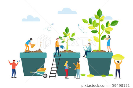 Grow stages of Tree from Seed to Large Plant. 59498131