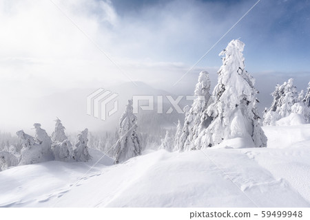 Fantastic winter landscape 59499948