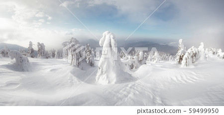 Fantastic winter landscape 59499950