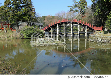 春天牛福井神社賣神社 春天牛福井神社賣神社 59500246