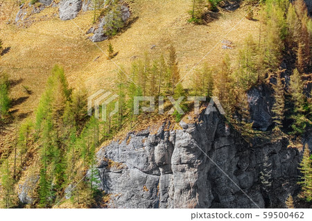 Mountainside of Bucegi Mountainside of Bucegi 59500462