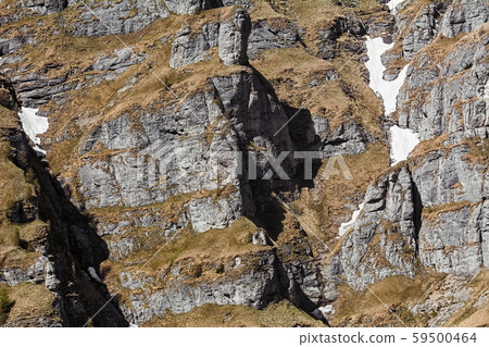 Mountainside of Bucegi Mountainside of Bucegi 59500464