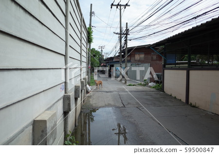 曼谷鄉村路 59500847