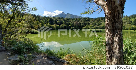 從Hi沼看立富士 59501038