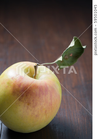 群馬月亮莫 59501045