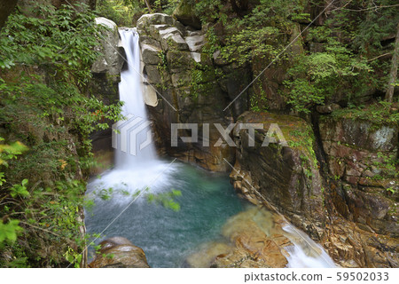 龍神瀑布夢森公園(岐阜縣中津川市) 龍神瀑布夢森公園(岐阜縣中津川市) 59502033