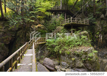 龍神瀑布長廊夢森公園(岐阜縣中津川市) 龍神瀑布長廊夢森公園(岐阜縣中津川市) 59502037