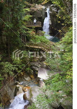 龍神瀑布夢森公園（岐阜縣中津川市） 59502046