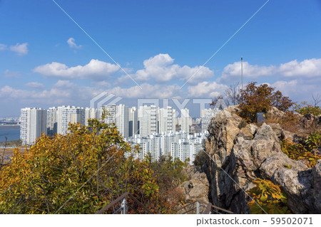 Okgu Park, Siheung City, Gyeonggi-do 59502071