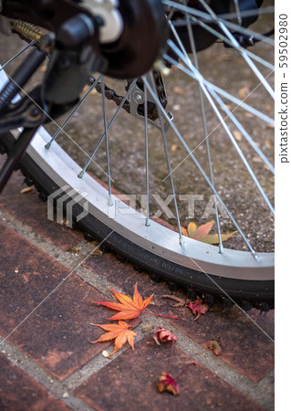 Bicycle and autumn leaves autumn image Bicycle and autumn leaves autumn image 59502980
