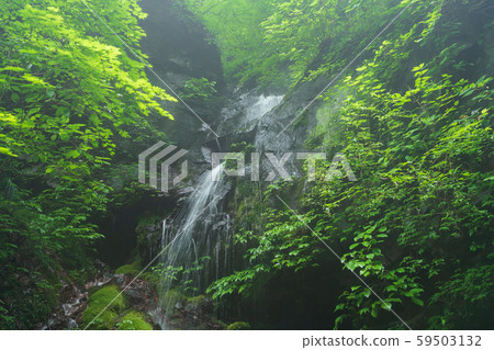 Nikko, Tochigi Prefecture Arazawa Somen Waterfall Sawa (August) 59503132