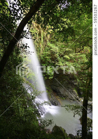 Next waterfall (Arita-gun, Wakayama) 59503267