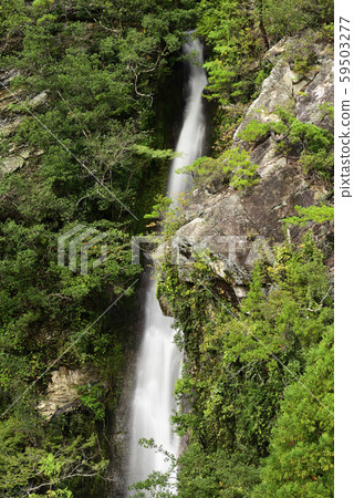Next waterfall (Arita-gun, Wakayama) 59503277