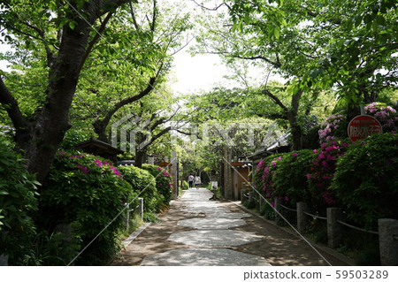 Houkaiji寺廟 Houkaiji寺廟 59503289