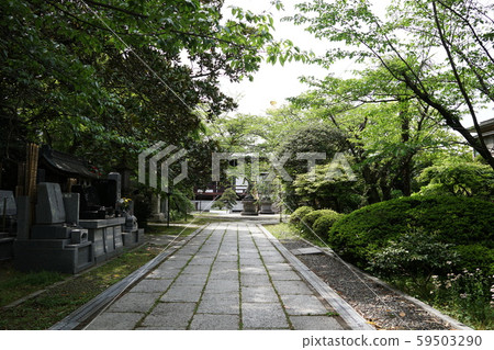 長壽寺 長壽寺 59503290