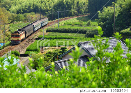 EL Kawane路 59503494