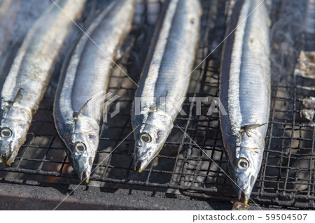[Grilled pacific saury] 59504507