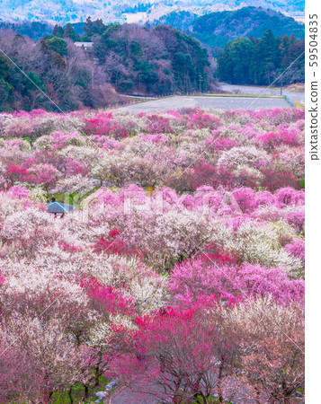 Inabe City Bairin Park 59504835