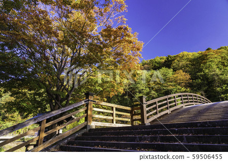（長野）菜井大橋，木之橋，午後的陽光 59506455