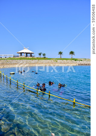 Diving course Diving course 59506488