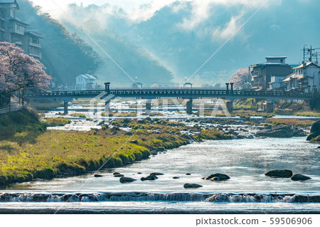 Misasa Onsen Spring Sakura 59506906