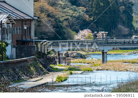 Misasa Onsen Spring Sakura 59506911