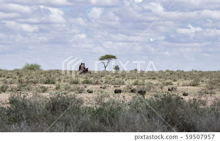 Masai people running on a motorcycle Masai people running on a motorcycle 59507957