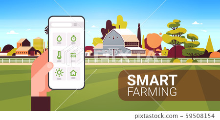 farmer hand holding smartphone monitoring condition controlling agricultural products organization 59508154