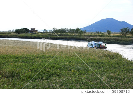 順天灣秋季自然生態 59508713