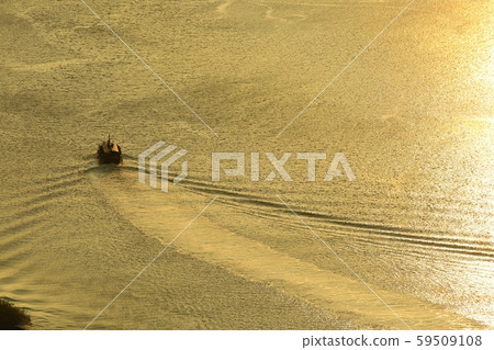 Suncheon Bay in autumn, natural ecology 59509108