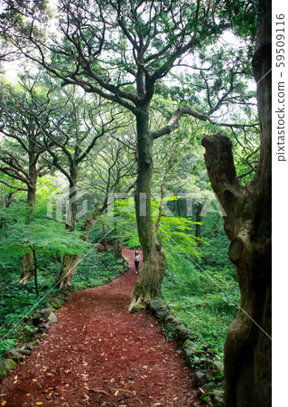 Brothers Island and Sunrise, Photographer Brothers Island and Sunrise, Photographer 59509116