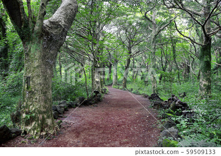 兄弟島和日出，攝影師 59509133