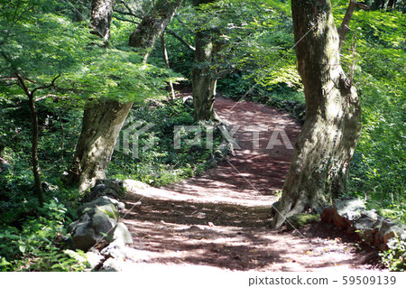 兄弟島和日出，攝影師 59509139