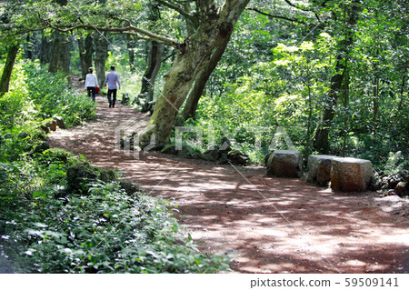 Brothers Island and Sunrise, Photographer Brothers Island and Sunrise, Photographer 59509141
